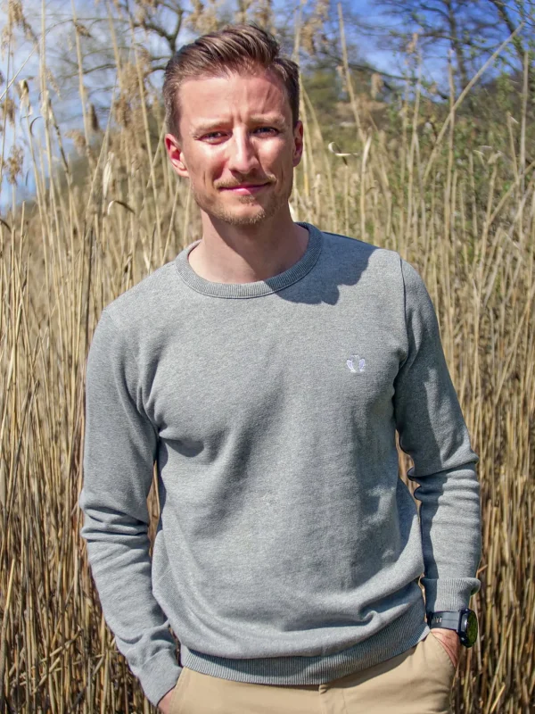Le Délicat Herrenpullover Grau