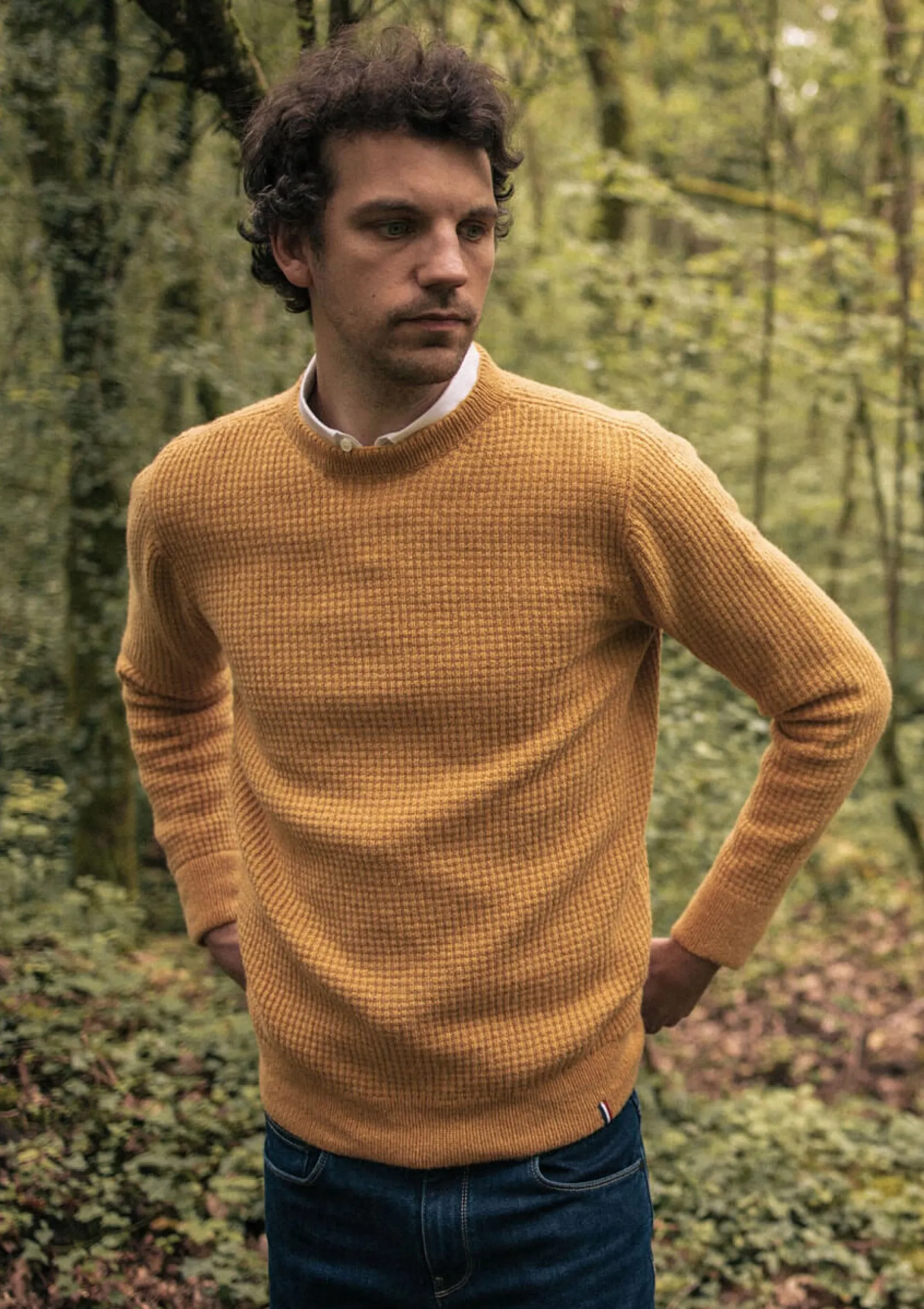 warmer_wollepullover_orig_0-1.webp Warmer Wolle-Pullover Origine Gelb
