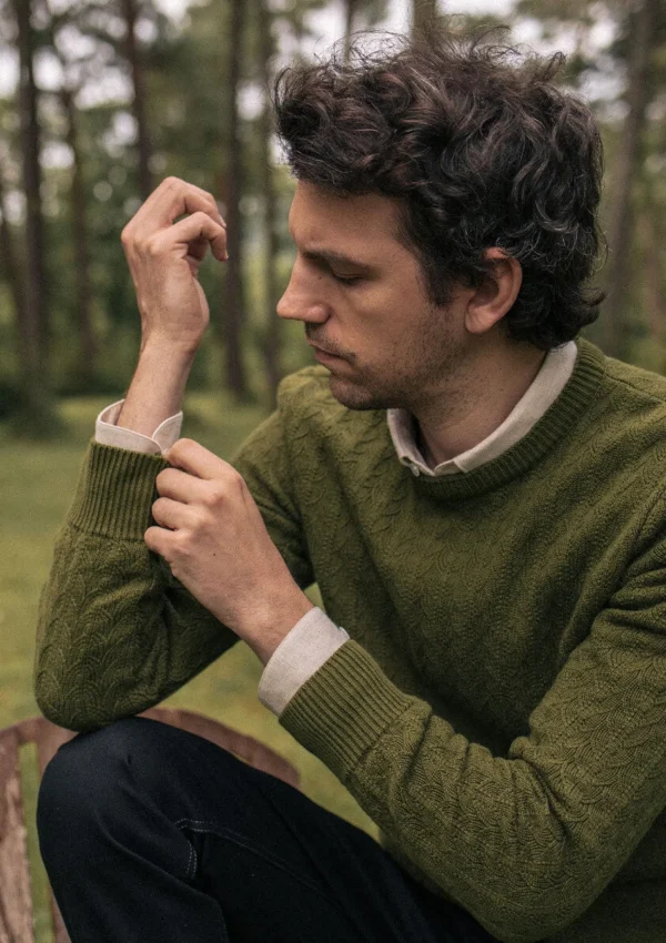 Herren Pullover Tilleul Grün